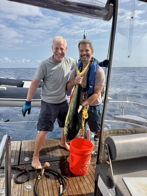 Mahi